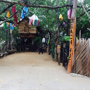 Beach Hut